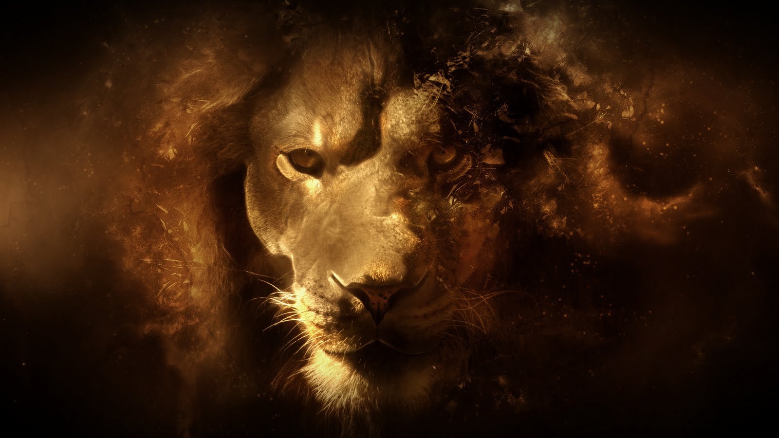 Unknown Artist Lion 2